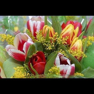 Meet your Posher, Milana