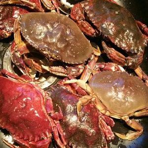 Meet your Posher, Mison