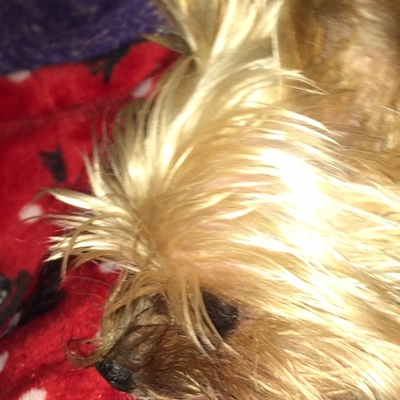 Meet your Posher, Kara - Picture 1 of 1