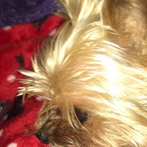 Meet your Posher, Kara