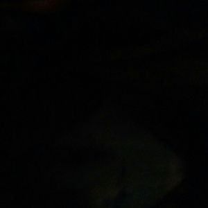 Meet your Posher, Randy