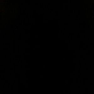 Meet your Posher, Martha