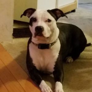 Meet your Posher, Tami