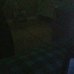 Meet your Posher, Trina