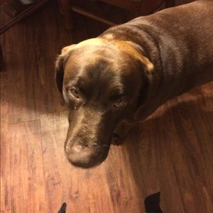 Meet your Posher, Jackie