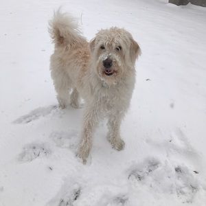 Meet your Posher, Lili