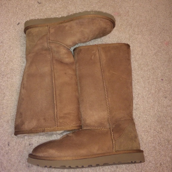 Tall chestnut uggs