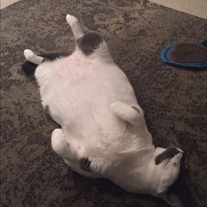 Meet your Posher, Catherine