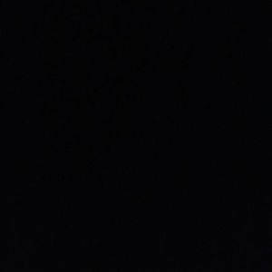 Meet your Posher, Jasmin