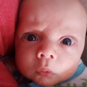 Meet your Posher, Dawn