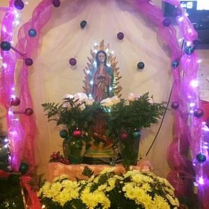 Meet your Posher, Alicia