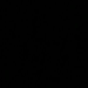 Meet your Posher, Bobo