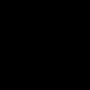 Meet your Posher, Evie