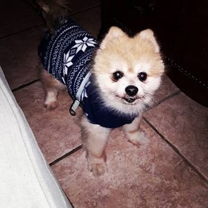 Meet your Posher, Kim