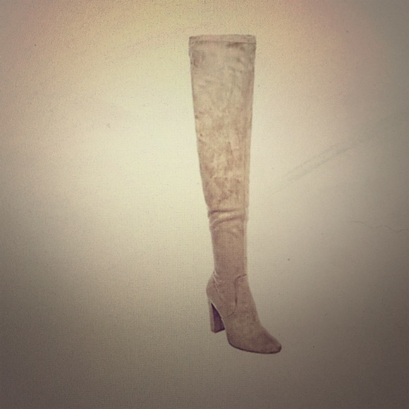Size 6 Steve Madden shoe. NEW! Never worn