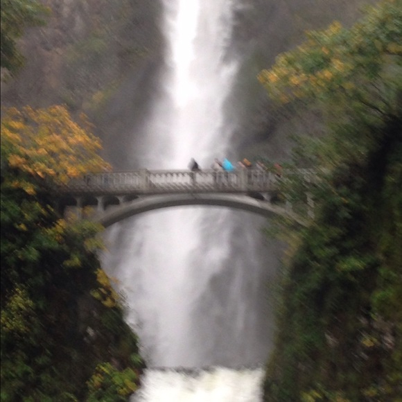 Meet your Posher, Morgan - Picture 1 of 1