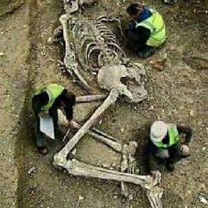 Meet your Posher, Tom