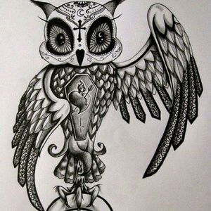 Meet your Posher, Brandi