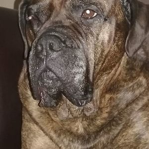 Meet your Posher, Alisha