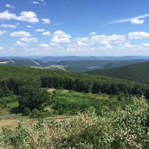 Meet your Posher, Rozana