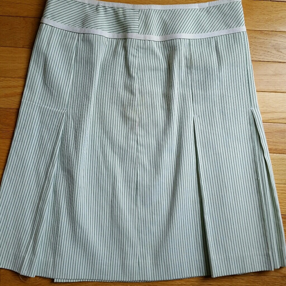 Ann Taylor Loft skirt