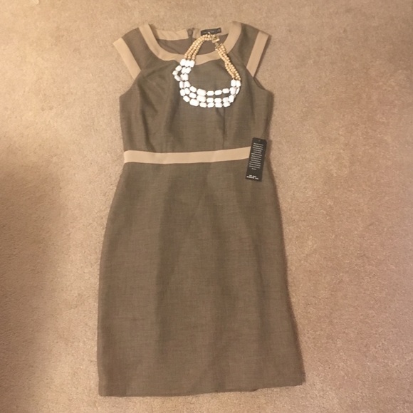 The Limited NWT Dress