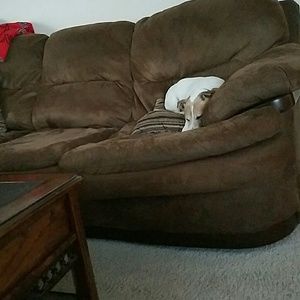 Meet your Posher, Diane