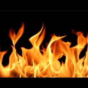 Meet your Posher, Tasia