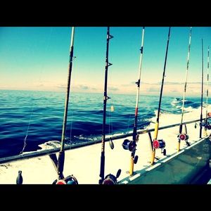 Meet your Posher, Dina