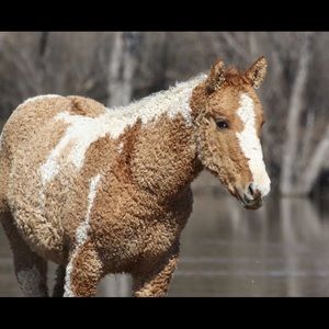 Meet your Posher, Raquel