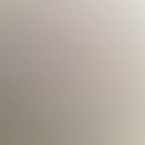 Meet your Posher, Larry