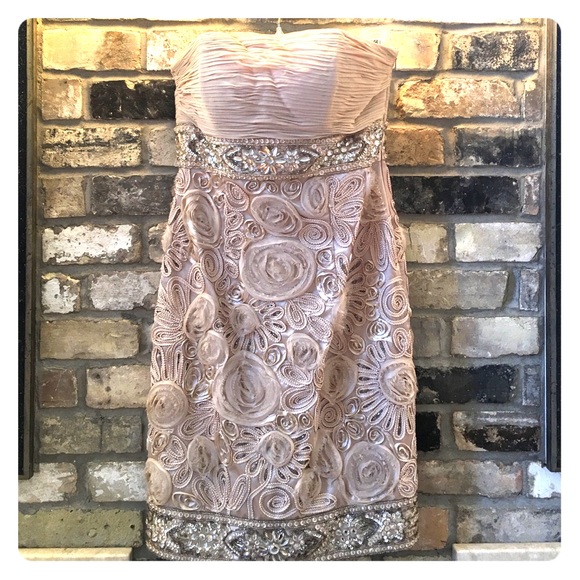 Sue Wong champagne cocktail dress