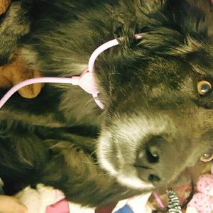 Meet your Posher, Shelbie