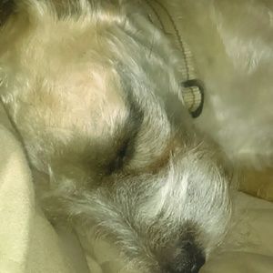 Meet your Posher, Suzanne