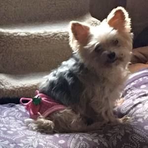 Meet your Posher, Mary