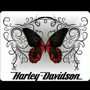 Meet your Posher, Sandy