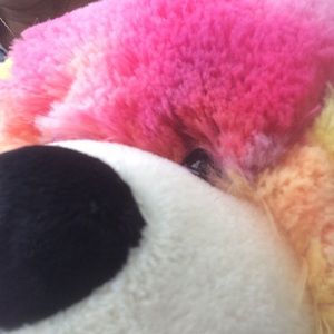 Meet your Posher, Theresa