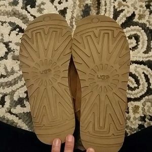 Mini classic chestnut uggs size 8