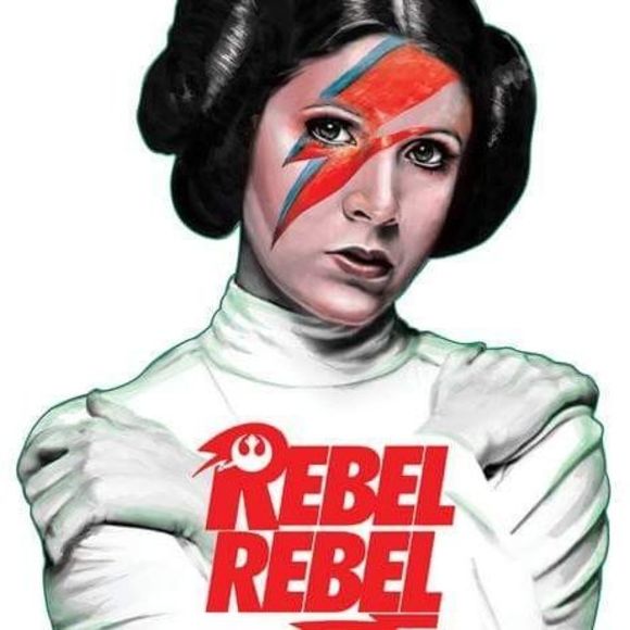 Meet your Posher, Gregory - Picture 1 of 1