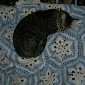 Meet your Posher, Kateri