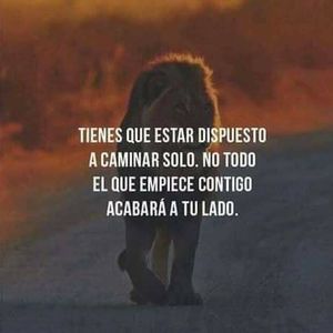 Meet your Posher, Ali