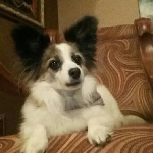 Meet your Posher, Marla