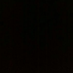 Meet your Posher, Dylan