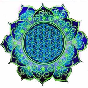 Meet your Posher, Elly