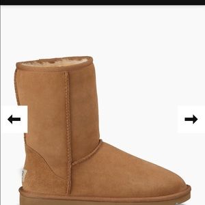 Classic short ugg-tan