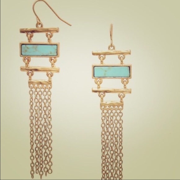 ⭐️Gorgeous howlite stone earrings