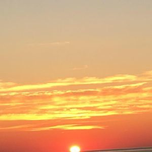 Meet your Posher, Vi