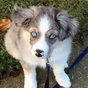 Meet your Posher, Kelsey