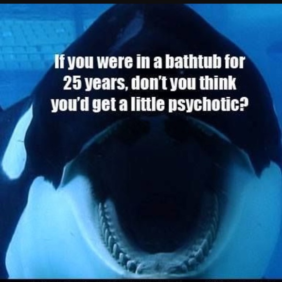 REST IN PEACE TILIKUM😇 - Picture 4 of 9