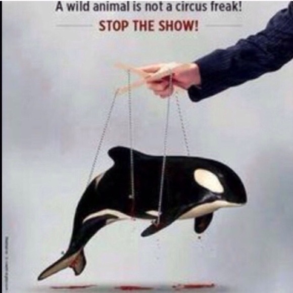 REST IN PEACE TILIKUM😇 - Picture 8 of 9